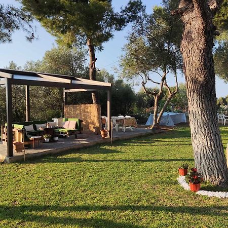 Golden Summer Apartment Néa Fókaia المظهر الخارجي الصورة