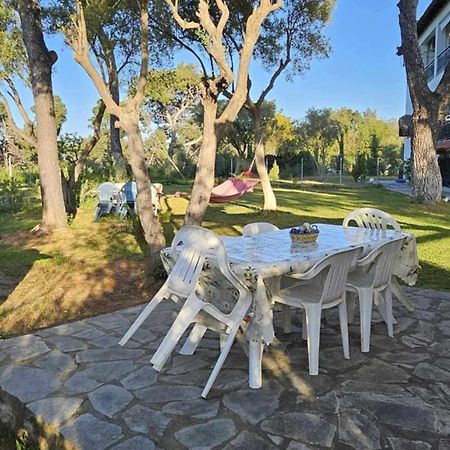 Golden Summer Apartment Néa Fókaia المظهر الخارجي الصورة