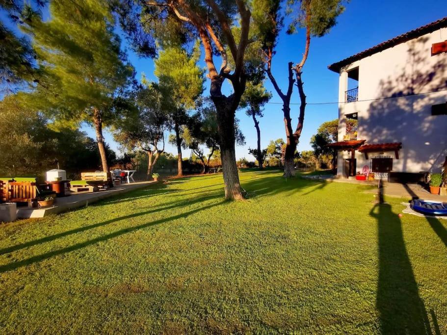 Golden Summer Apartment Néa Fókaia المظهر الخارجي الصورة