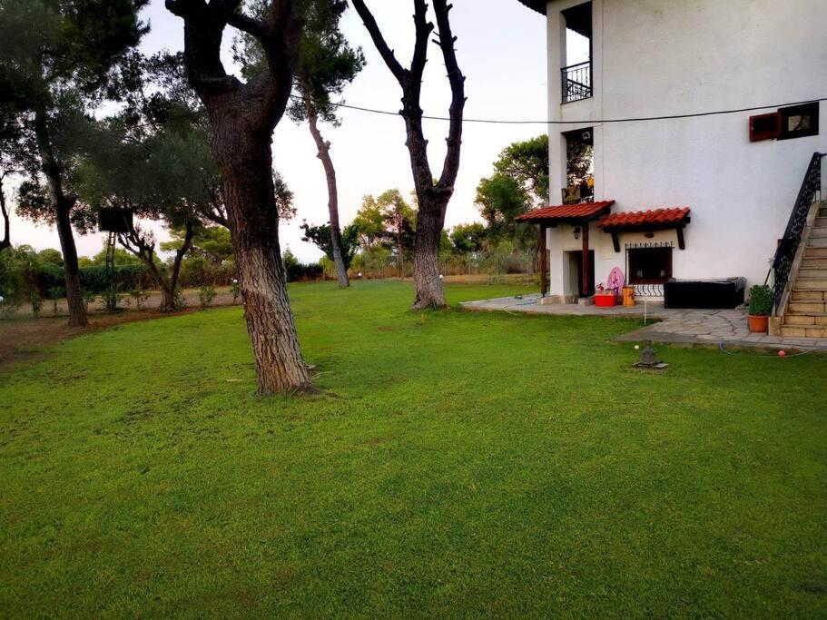 Golden Summer Apartment Néa Fókaia المظهر الخارجي الصورة