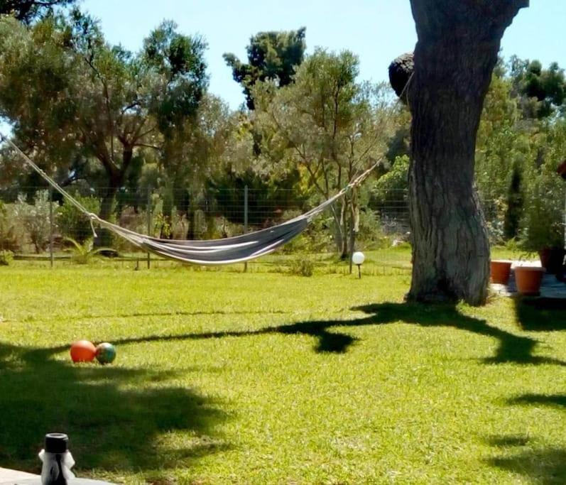 Golden Summer Apartment Néa Fókaia المظهر الخارجي الصورة