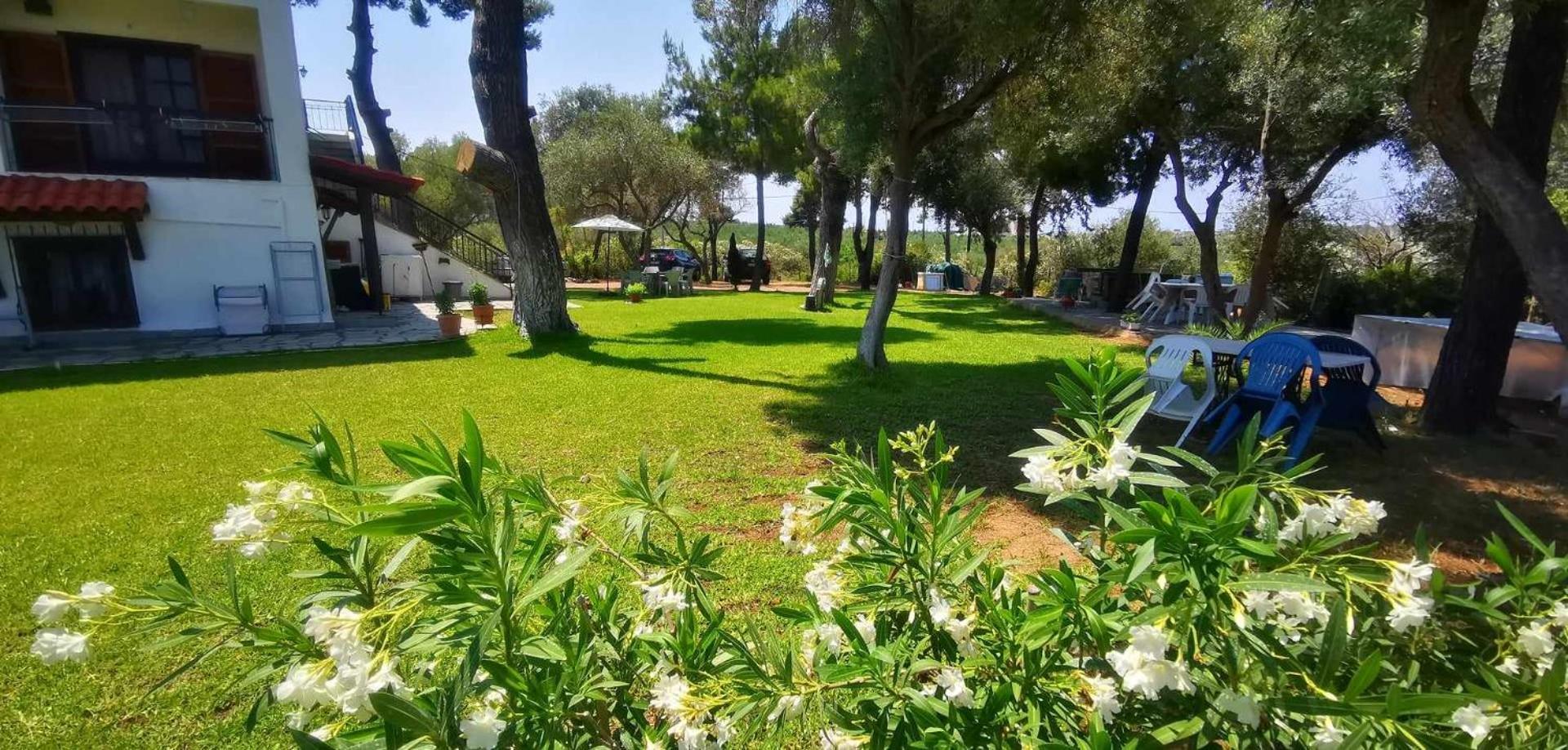 Golden Summer Apartment Néa Fókaia المظهر الخارجي الصورة