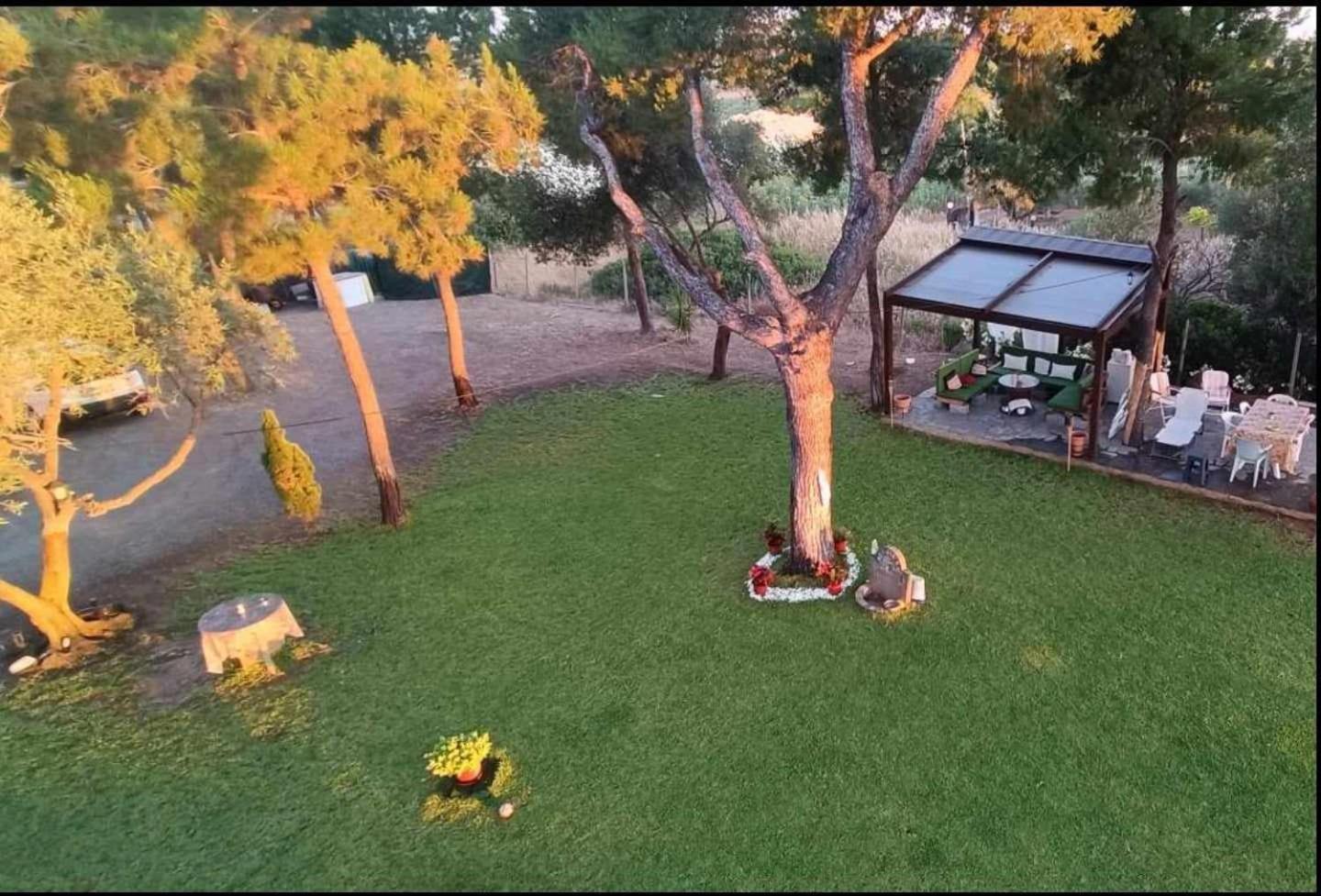 Golden Summer Apartment Néa Fókaia المظهر الخارجي الصورة
