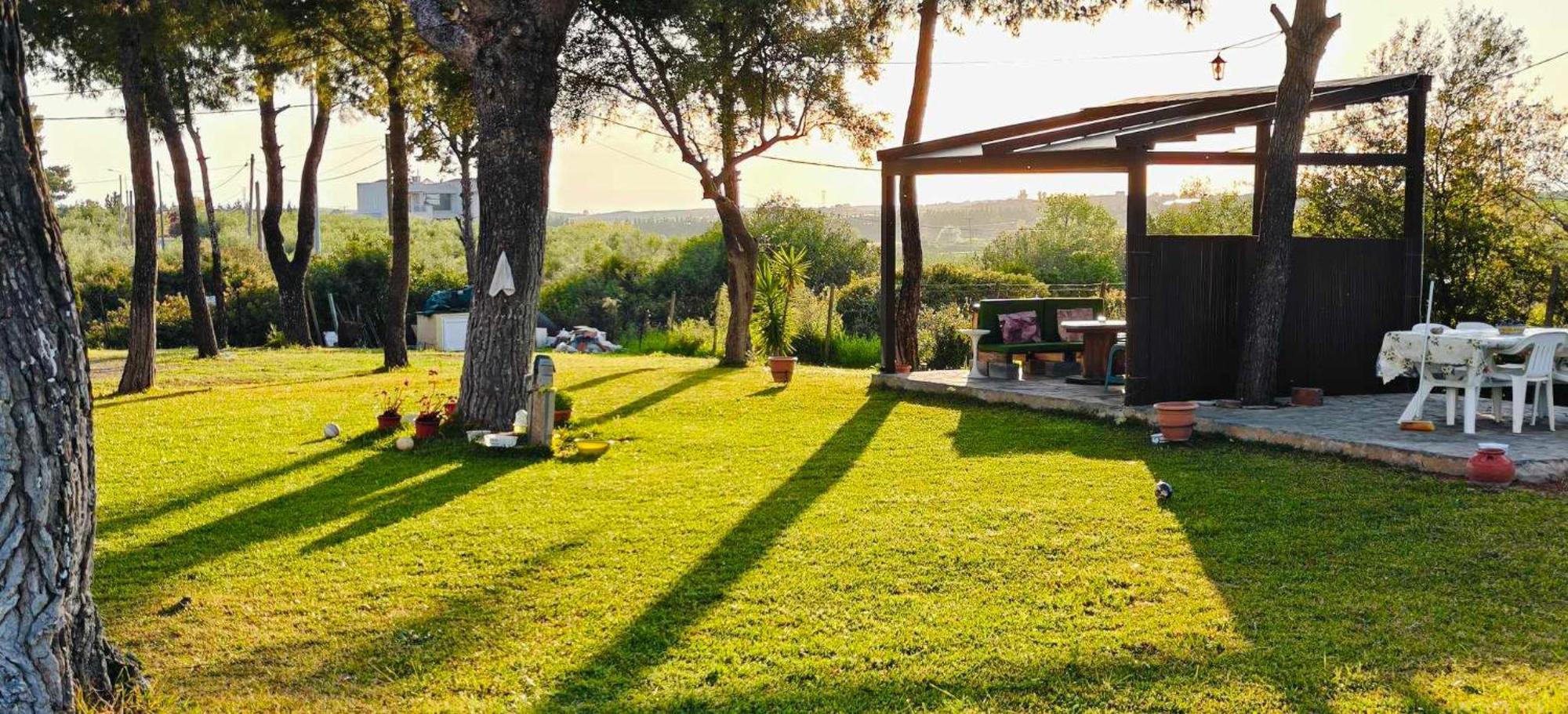 Golden Summer Apartment Néa Fókaia المظهر الخارجي الصورة